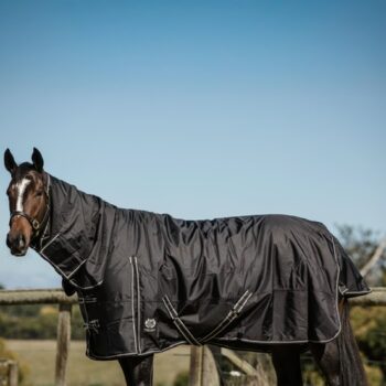 C4C 1680d 300g Combo Rug