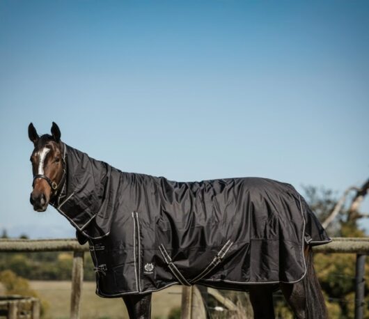 C4C 1680d 300g Combo Rug #2
