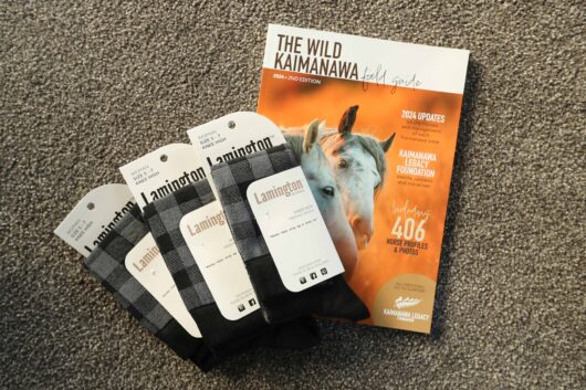 Lamington Sock Set + Kaimanawa Field Guide #1