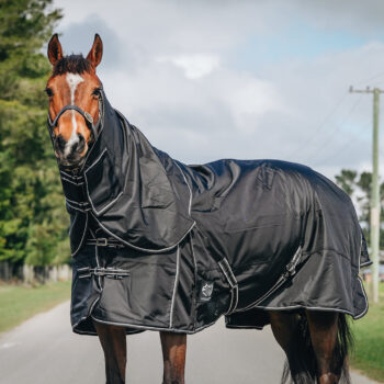 C4C 1680d 300g Detachable Rug Set