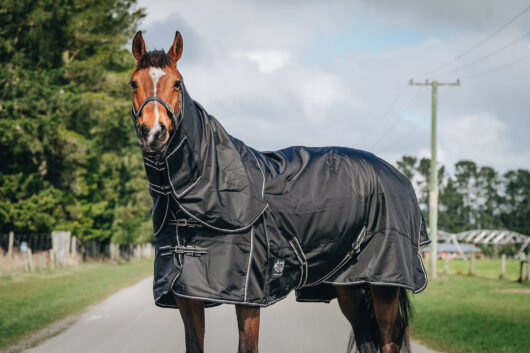 C4C 1680d 300g Detachable Rug Set