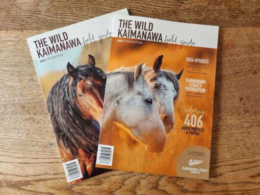 KLF Hat & 2024 Field Guide Signed by The Wilson Sisters - Image 2