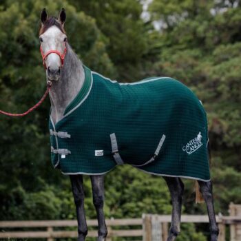 C4C 4'9 Hunter Green Wickaway Rug