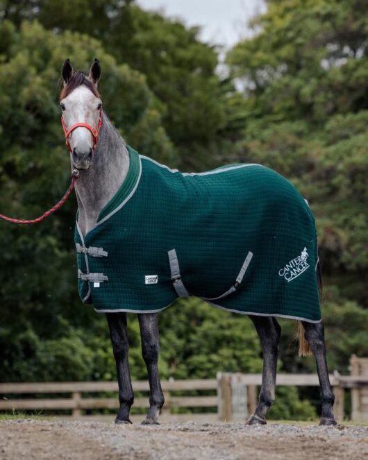 C4C 4'9 Hunter Green Wickaway Rug