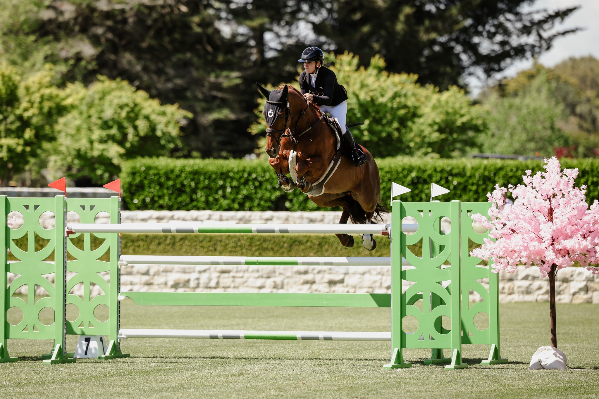 Two Days Training with Sophie Scott – Palmerston North