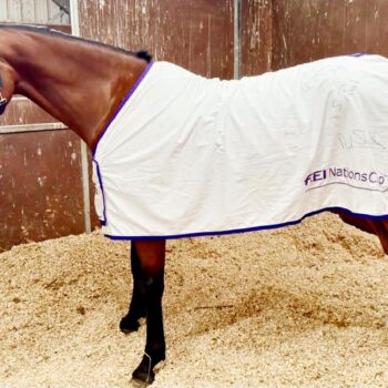 Winners Rug from 2013 Aga Khan Nations Cup