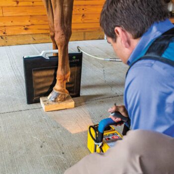 Front Feet Hoof Balance X-Rays