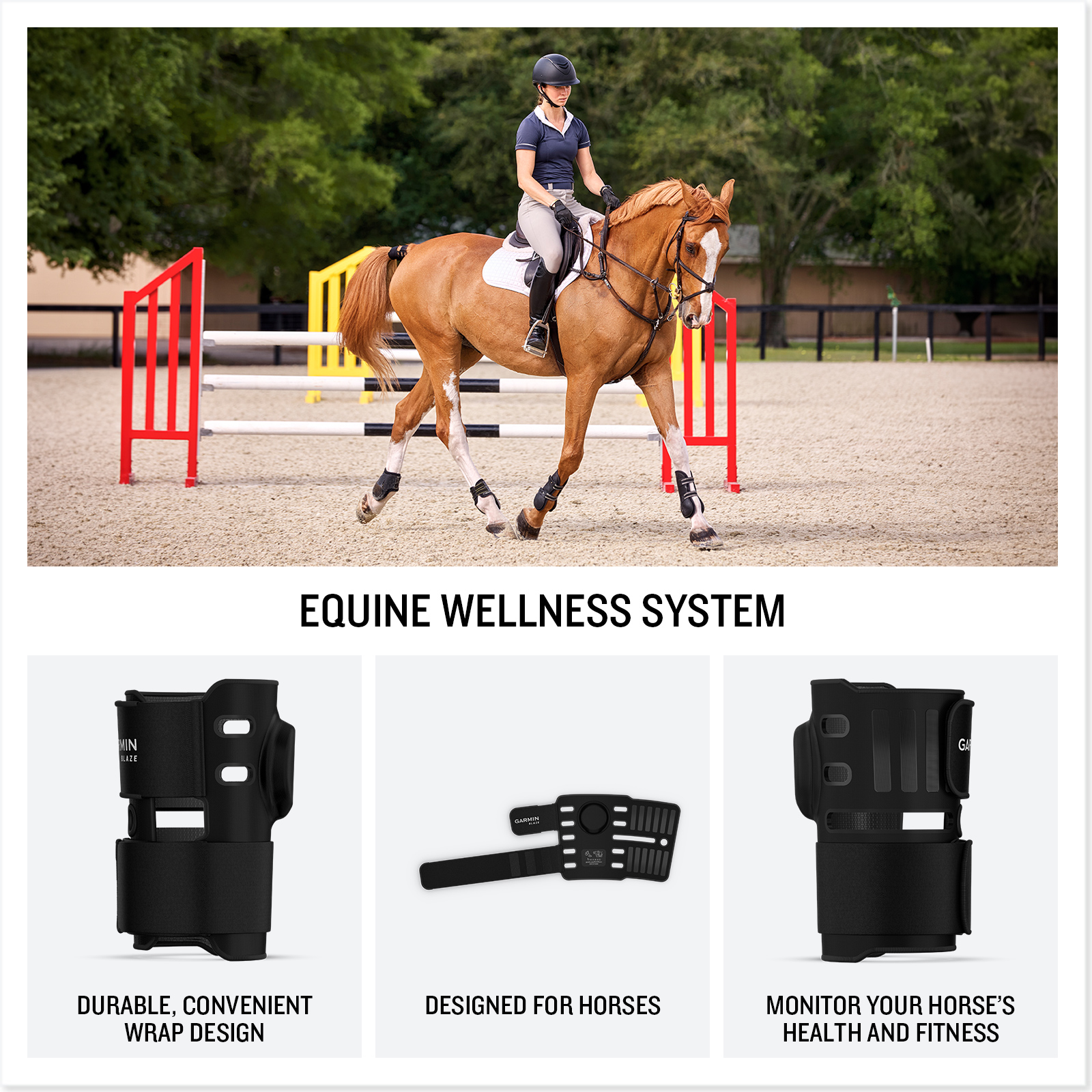 Garmin Forerunner 570 and a Blaze Equine Wellness System package - Image 2