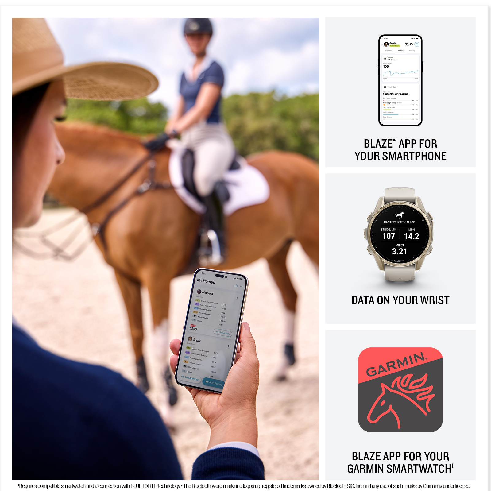 Garmin Forerunner 570 and a Blaze Equine Wellness System package - Image 4