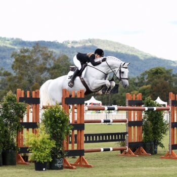 Stallion Service to Casebrook Lomond