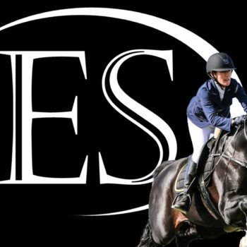 Stallion Service of Your Choice from Euro Sport Horses