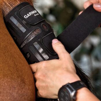 Garmin Forerunner 570 and a Blaze Equine Wellness System package