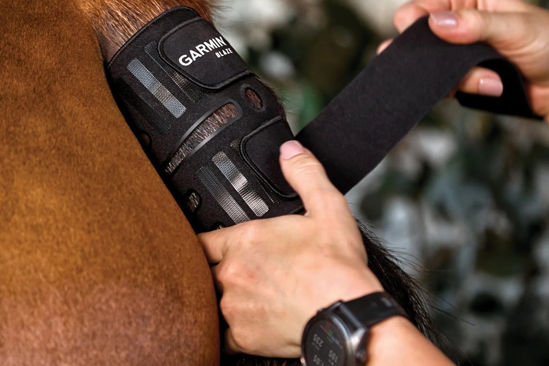 Garmin Forerunner 570 and a Blaze Equine Wellness System package