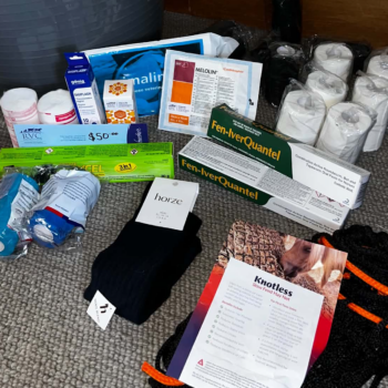 Rangiora Vet Centre Horse Health Package